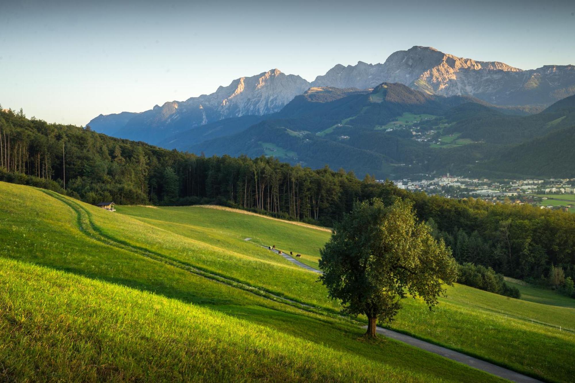 Landhaus Armstorfer Puch bei Hallein Exterior photo